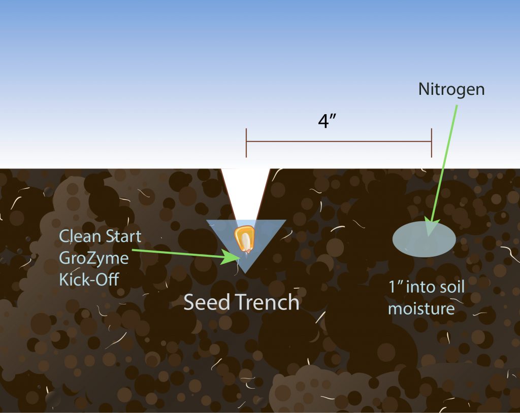 Diagram of a Seed Trench